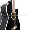 Akustikgitarre mit CEQ (AG4200CEQ)