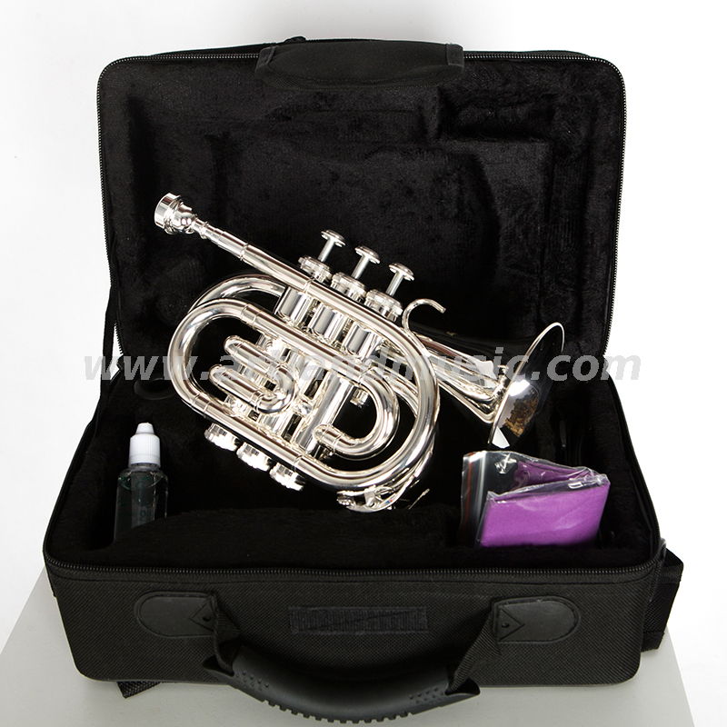 Silberne Taschentrompete AHD4508S