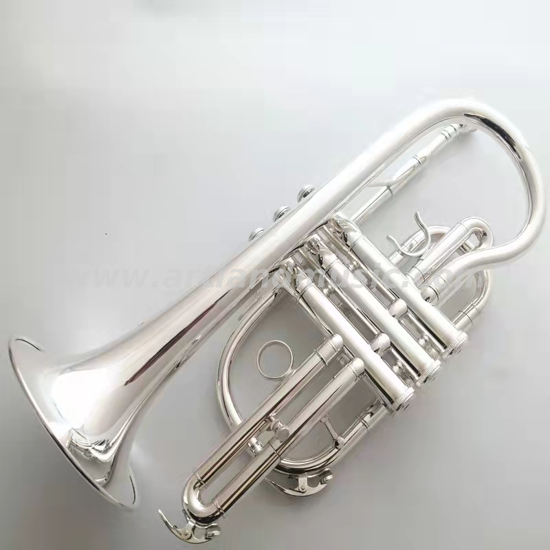 Glod Lackkornett ACR8356G