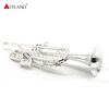 Professionelles Blechblasinstrument, versilberte Trompete mit Koffer (ATR8335)