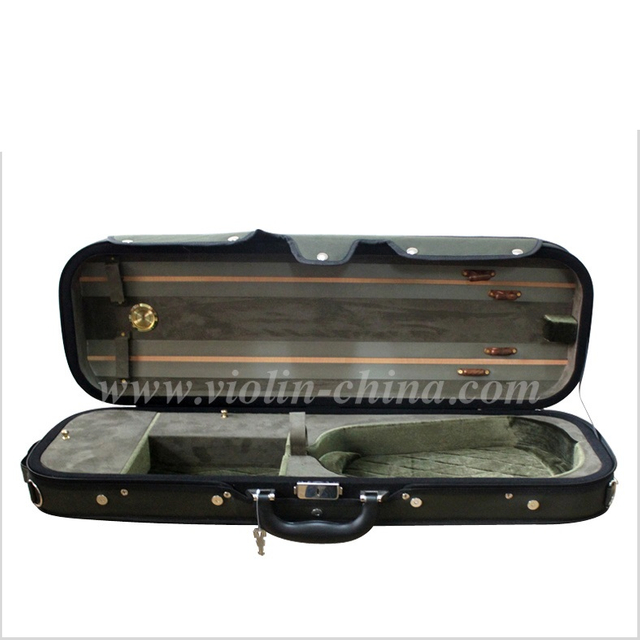 Leichter Schaumstoffkoffer für Violine (DSV002)