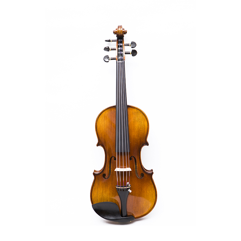 5-saitige Violine mit einteiligem Ahornboden (AVA1005S)