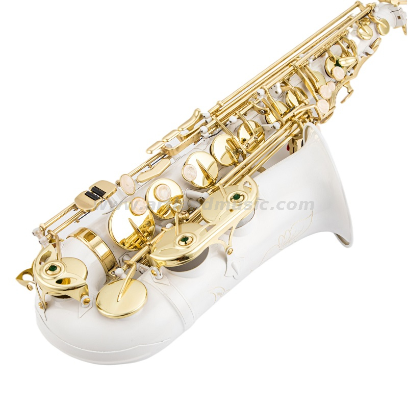 Eb-Altsaxophon, Goldlack-Klappe, weißer Korpus (AAS5505CW)