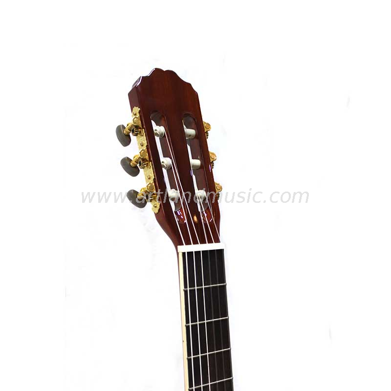 Klassische Gitarre aus Fichtenholz mit massiver Decke und Palisander (CG968)