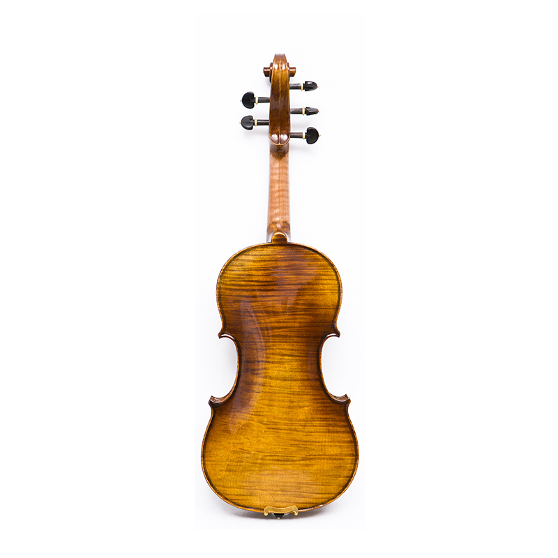 5-saitige Violine mit einteiligem Ahornboden (AVA1005S)